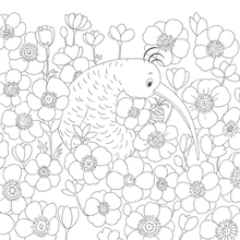 Load image into Gallery viewer, My Kiwi Garden: Colouring Book