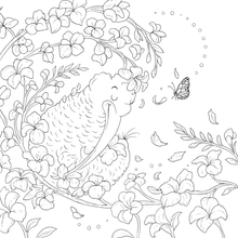 Load image into Gallery viewer, My Kiwi Garden: Colouring Book