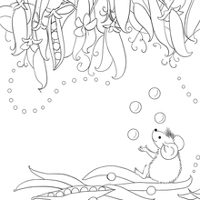 Load image into Gallery viewer, My Kiwi Garden: Colouring Book