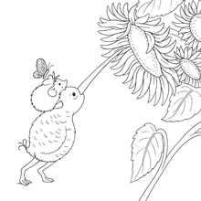 Load image into Gallery viewer, My Kiwi Garden: Colouring Book